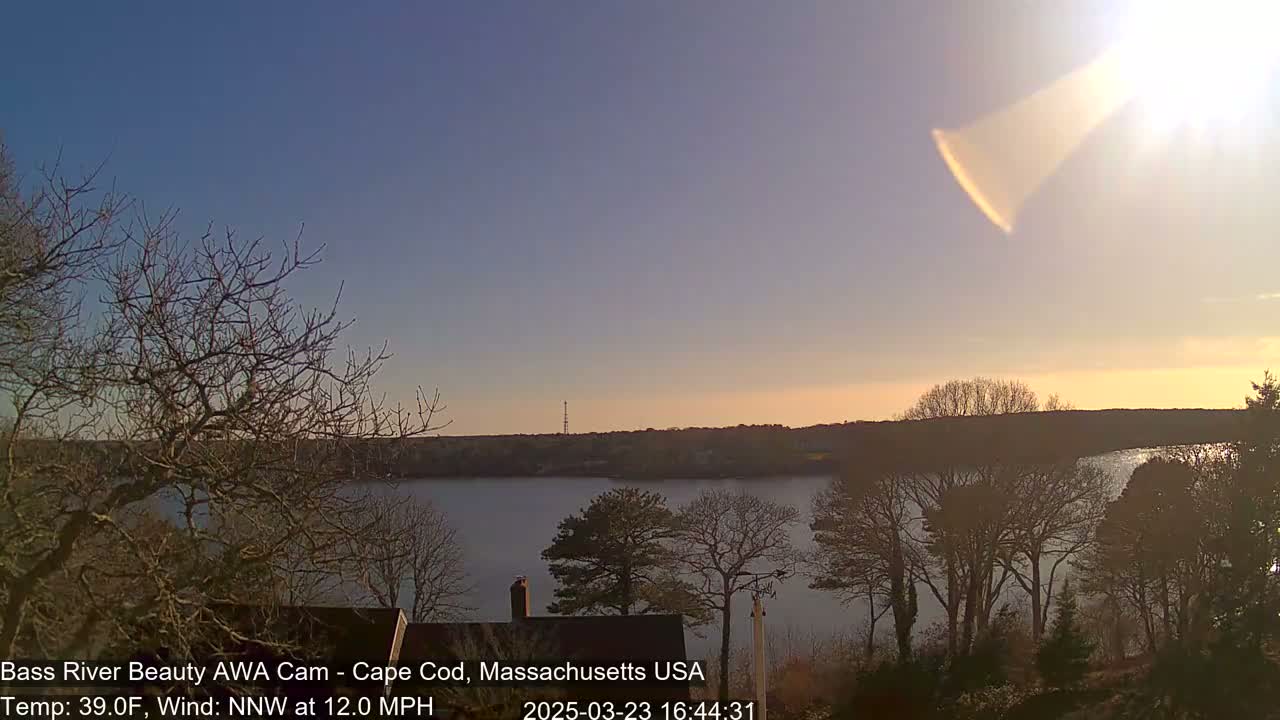 A calm body of water is seen from a waterfront perspective at sunset, with bare trees in the foreground and a clear sky showing a bright sun.