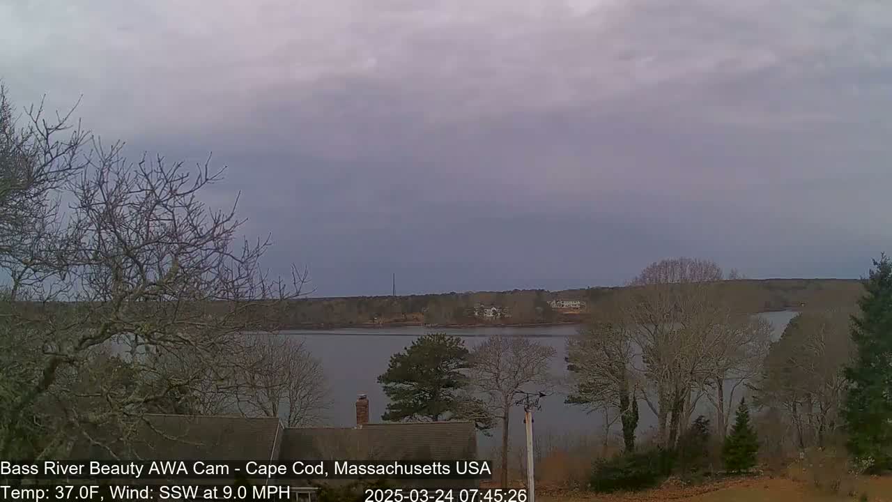 A calm body of water is seen from a vantage point overlooking bare trees under a cloudy sky, with a gentle south-southwesterly wind.