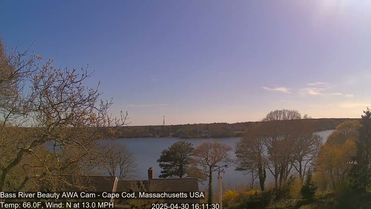 A calm body of water is seen from a vantage point amongst bare trees on a sunny day with a light north wind.