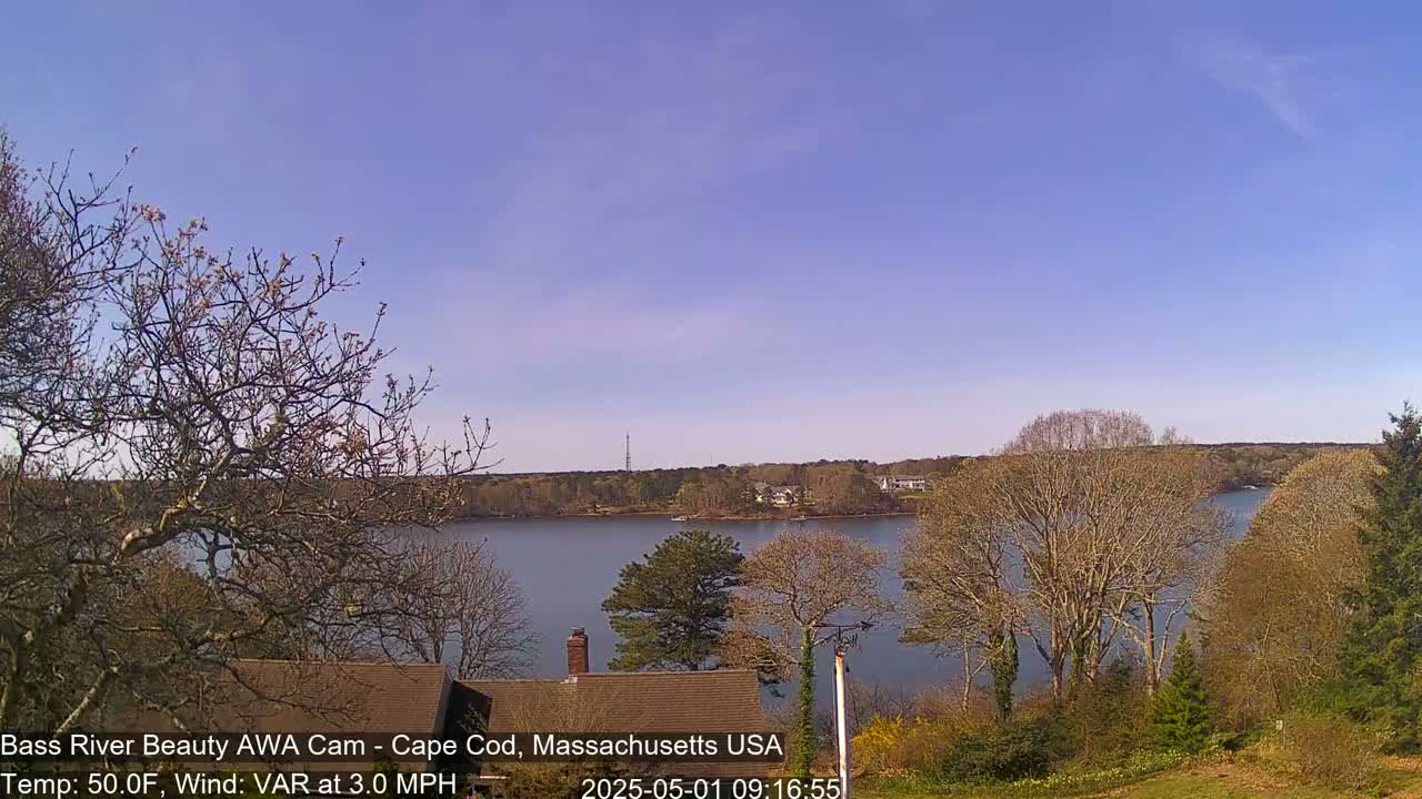 A calm body of water is seen from a vantage point overlooking bare trees and houses, under a clear blue sky.