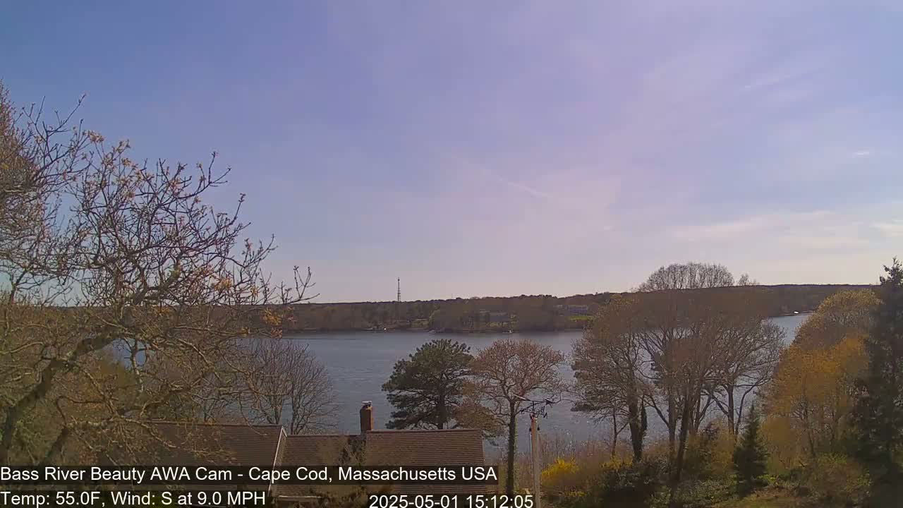 A calm body of water is visible from a vantage point among leafless trees on a sunny day with a south wind.