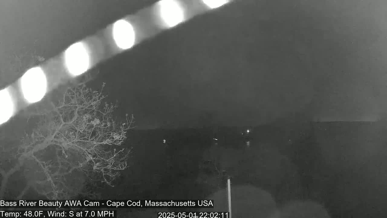 A nighttime, low-light view shows a dark, mostly clear sky, a bare tree in the foreground, and a distant shoreline under a 7 mph south wind at 48°F.