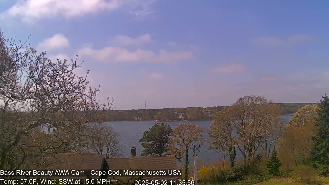 A calm body of water is seen from a slightly elevated vantage point, partially obscured by leafless trees and early spring foliage under a mostly clear, light blue sky with a few scattered clouds.