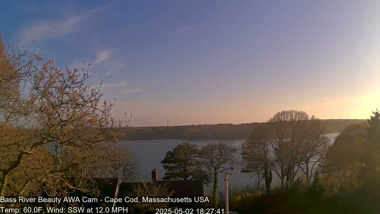 A calm body of water is visible at sunset, framed by bare trees under a mostly clear sky with a light wind.