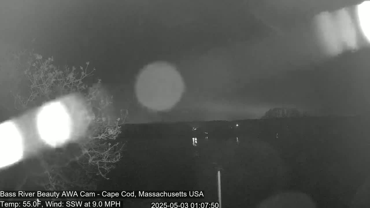A nighttime, overcast scene shows bare trees and distant lights under a dark sky with a 9 mph south-southwesterly wind.
