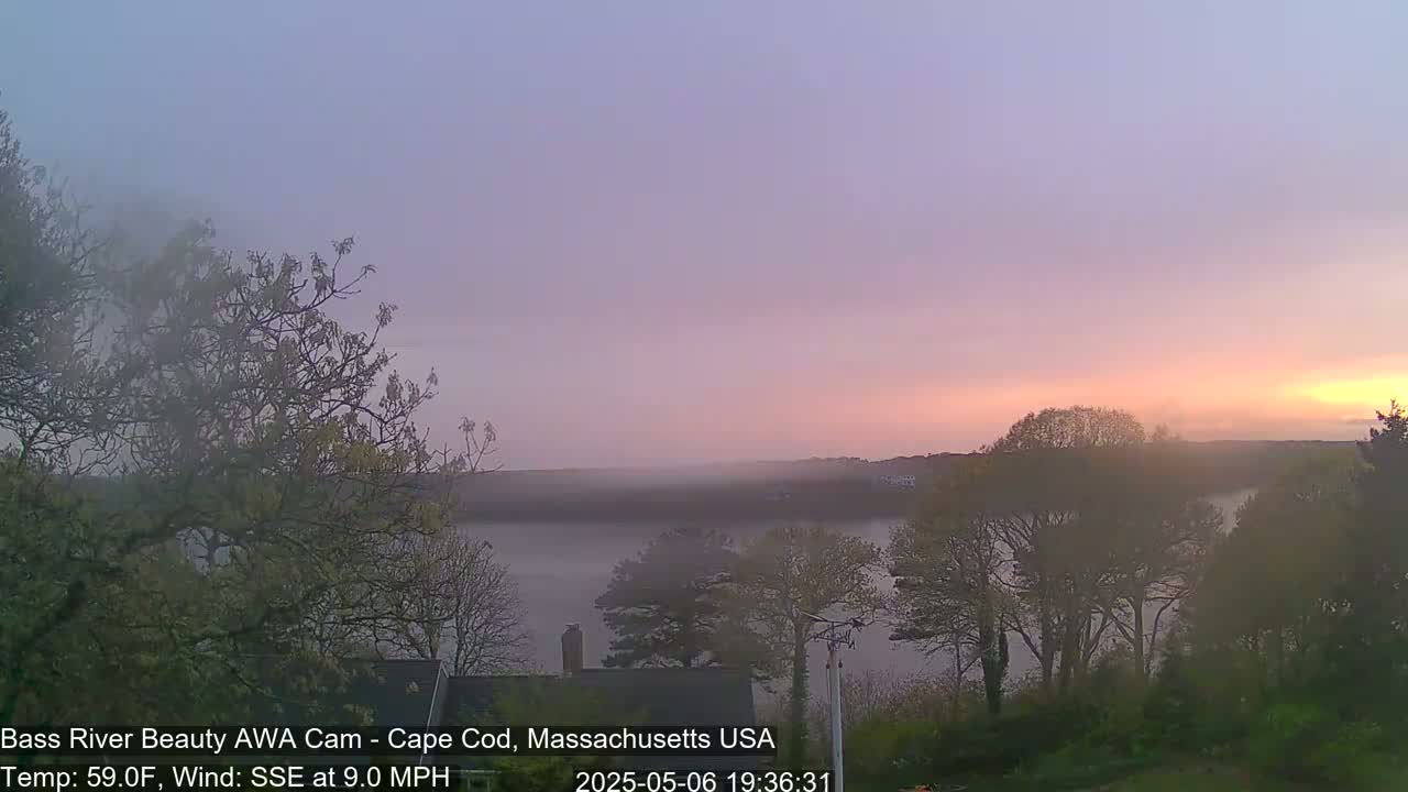 A hazy sunset over a calm body of water, partially obscured by mist, is viewed from behind trees with a gentle breeze.