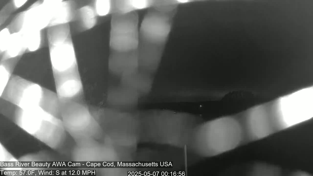 A blurry, nighttime image shows bright streaks of light against a dark background.