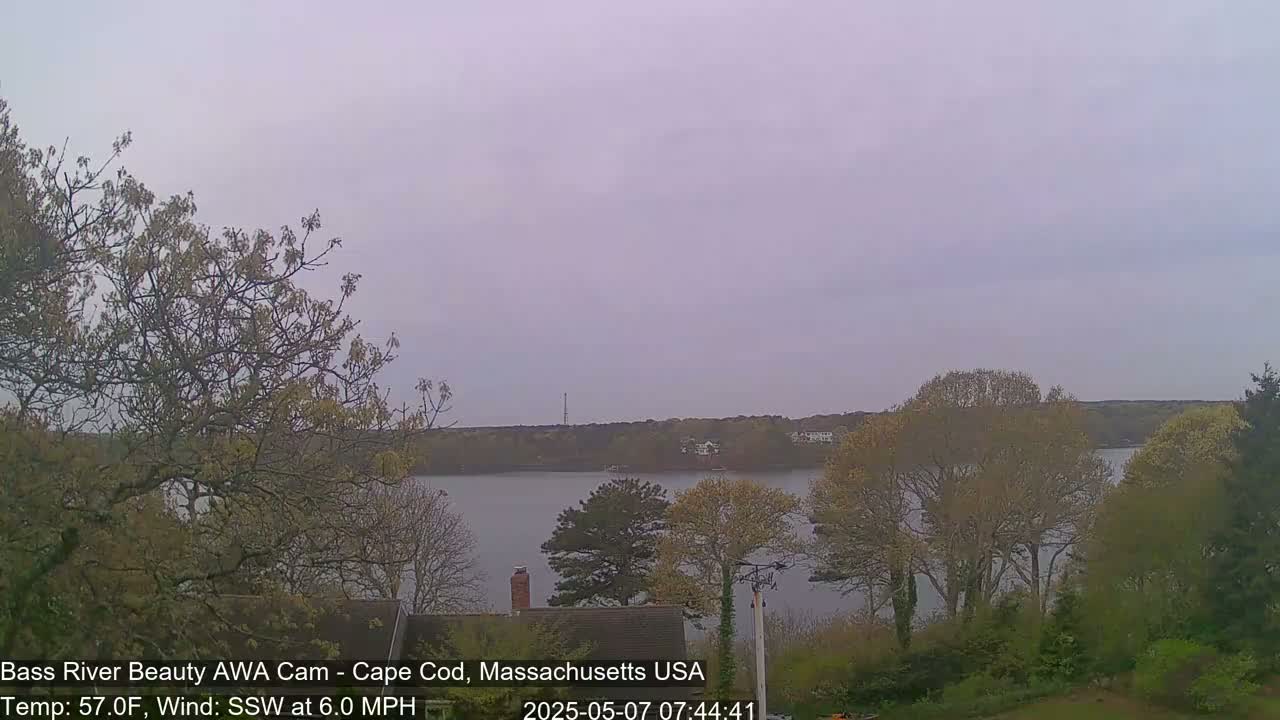 A calm body of water is visible between budding trees under an overcast sky.