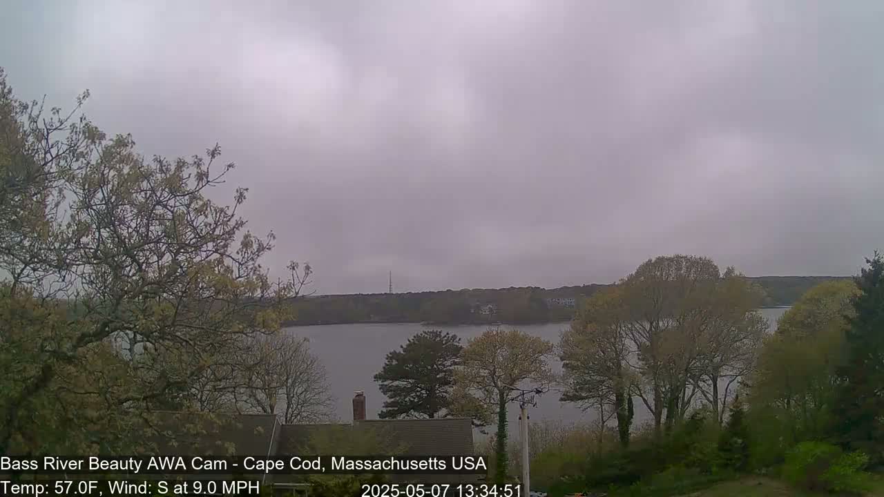 A calm, overcast day shows a view of a body of water bordered by trees and shrubs, with a house partially visible in the foreground.