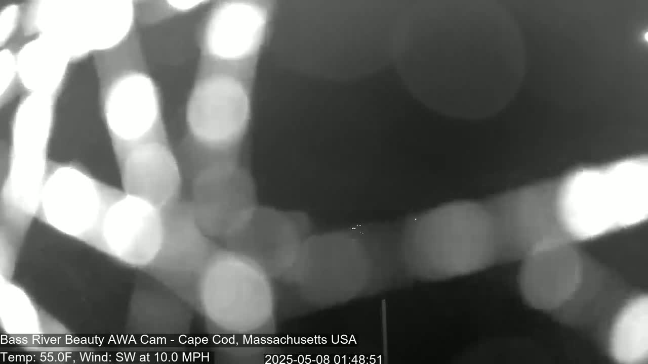 A nighttime, blurry outdoor scene shows out-of-focus lights and a dark sky with a southwest wind at 10 mph and a temperature of 55°F.