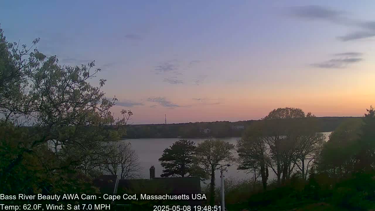 A calm river at sunset is viewed from behind trees, under a partly cloudy, pastel sky.