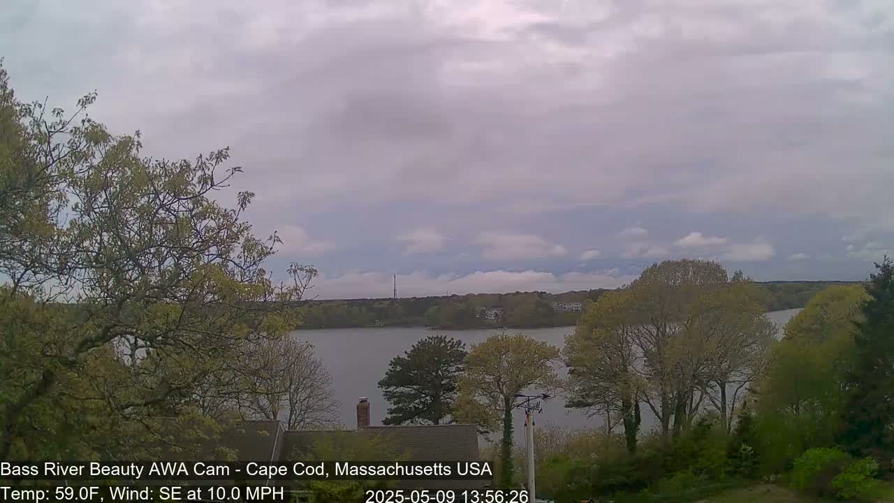 A calm body of water is partially visible through leafy trees under a mostly cloudy sky.