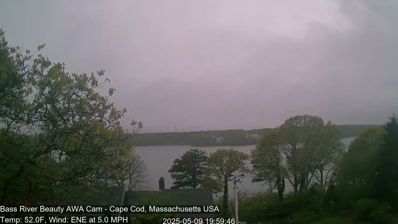 Overcast skies and a calm body of water are visible from a vantage point among leafy trees.