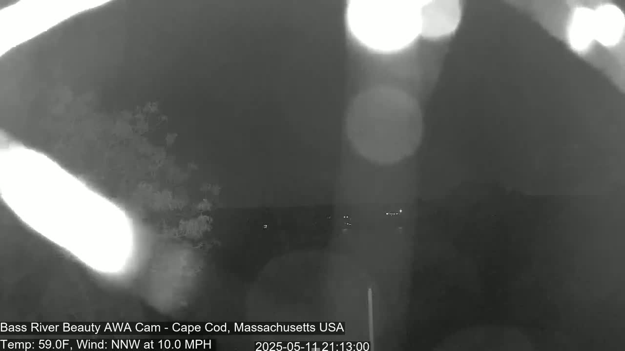 A nighttime, low-light image shows a blurry view of distant lights and trees under a dark, overcast sky with a 10 mph wind.