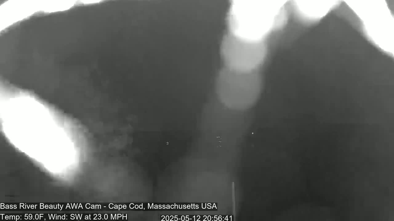 A blurry, nighttime outdoor image shows bright lights in the distance through a hazy, windy atmosphere.