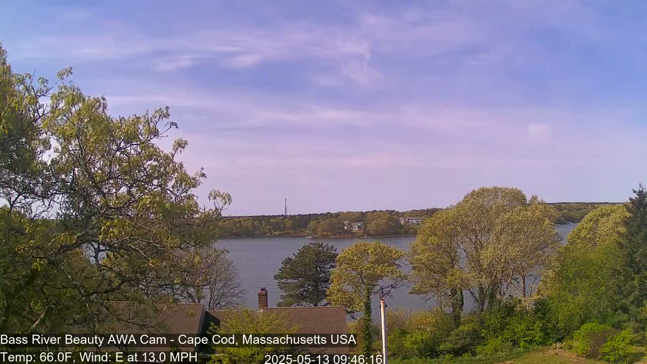 A calm body of water is seen from a slightly elevated vantage point, framed by trees in early spring under a mostly clear, light blue sky with a gentle breeze.