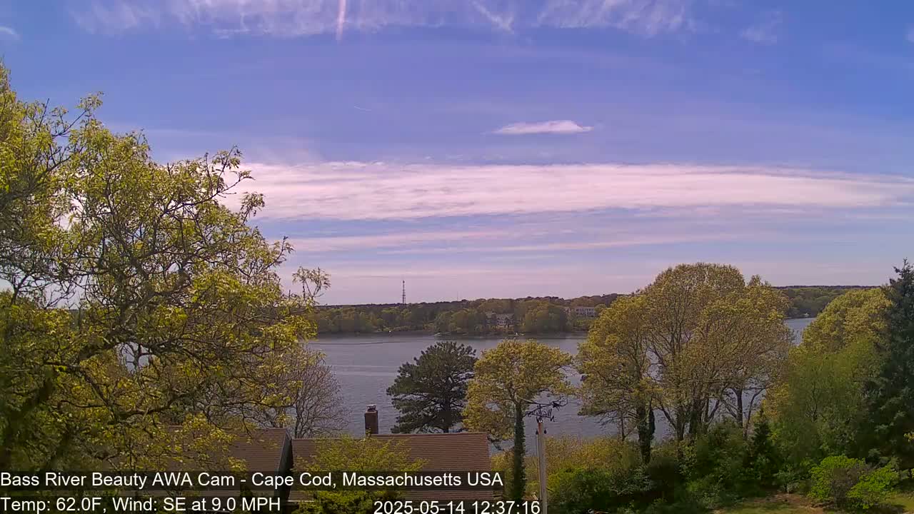 A calm body of water is visible beyond leafy green trees under a mostly clear, light blue sky with thin, wispy clouds.