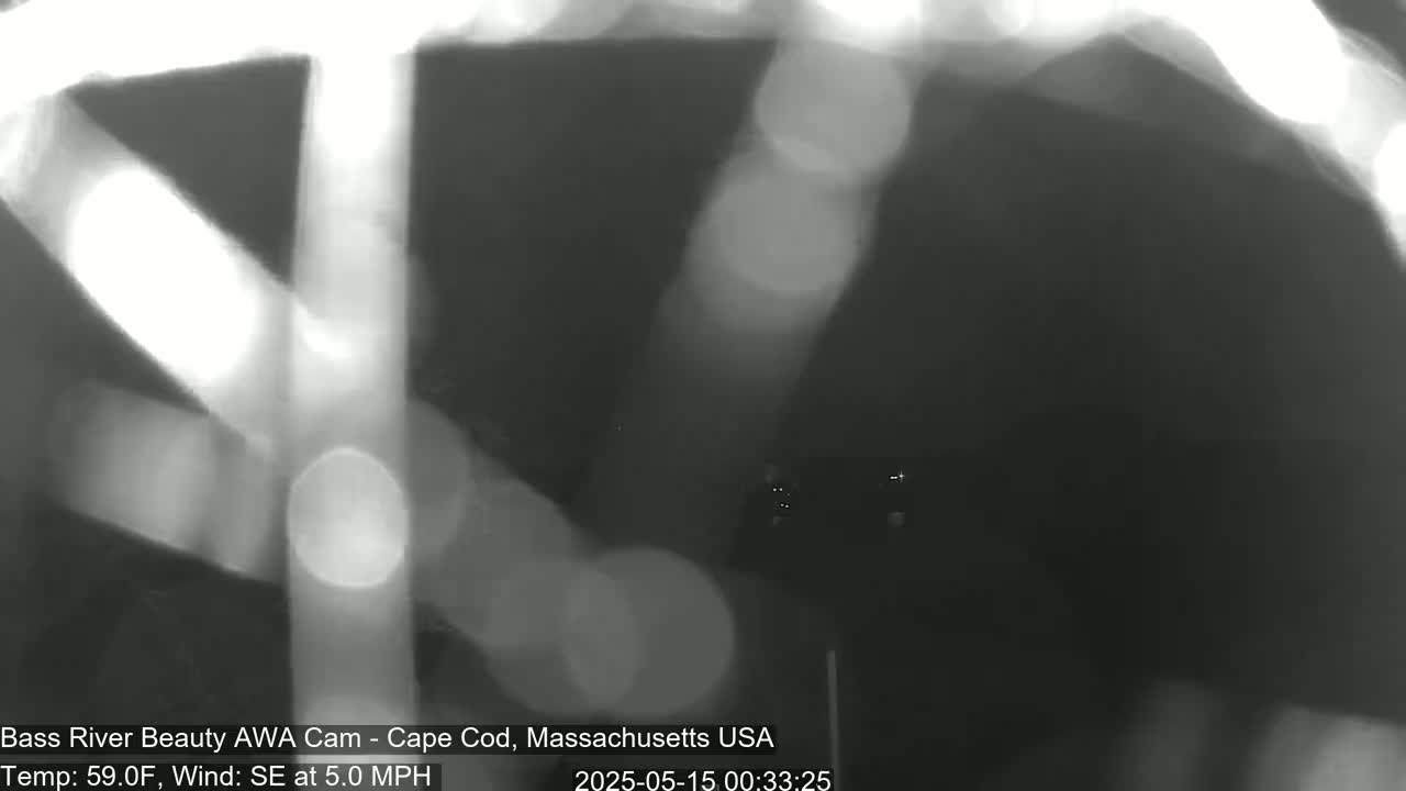 Cape Cod - Bass River, Live Cam - Yarmouth, Massachusetts, USA