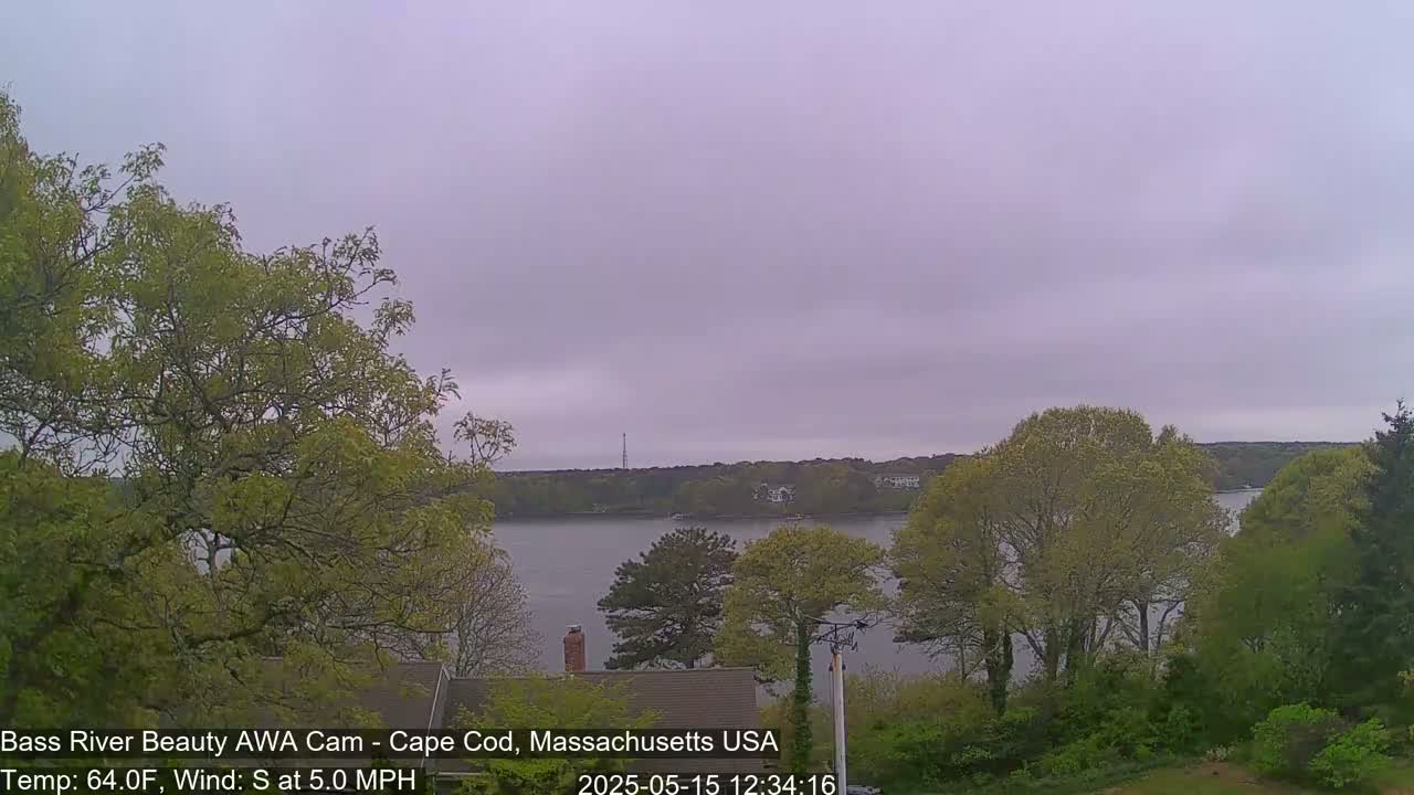 A calm body of water is seen through leafy, spring trees under an overcast sky.