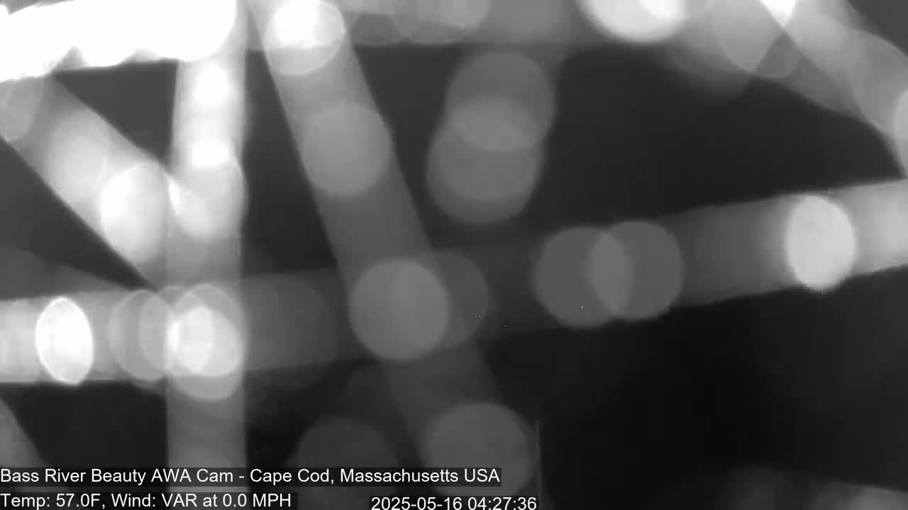 An out-of-focus grayscale image shows bright, blurry lights against a dark background.