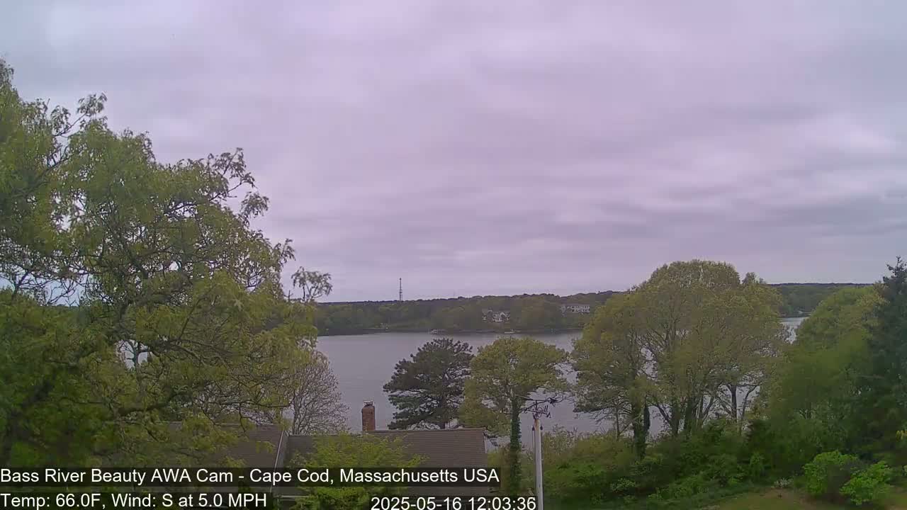 Overlooking a calm body of water, leafy green trees line the shore under an overcast sky.
