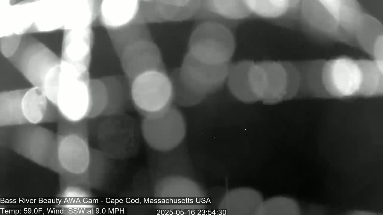 Cape Cod - Bass River, Live Cam - Yarmouth, Massachusetts, USA