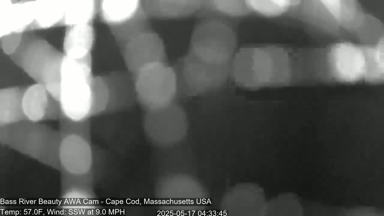 A blurry, out-of-focus grayscale image shows bright lights and dark shapes, taken outdoors in windy, 57°F weather.