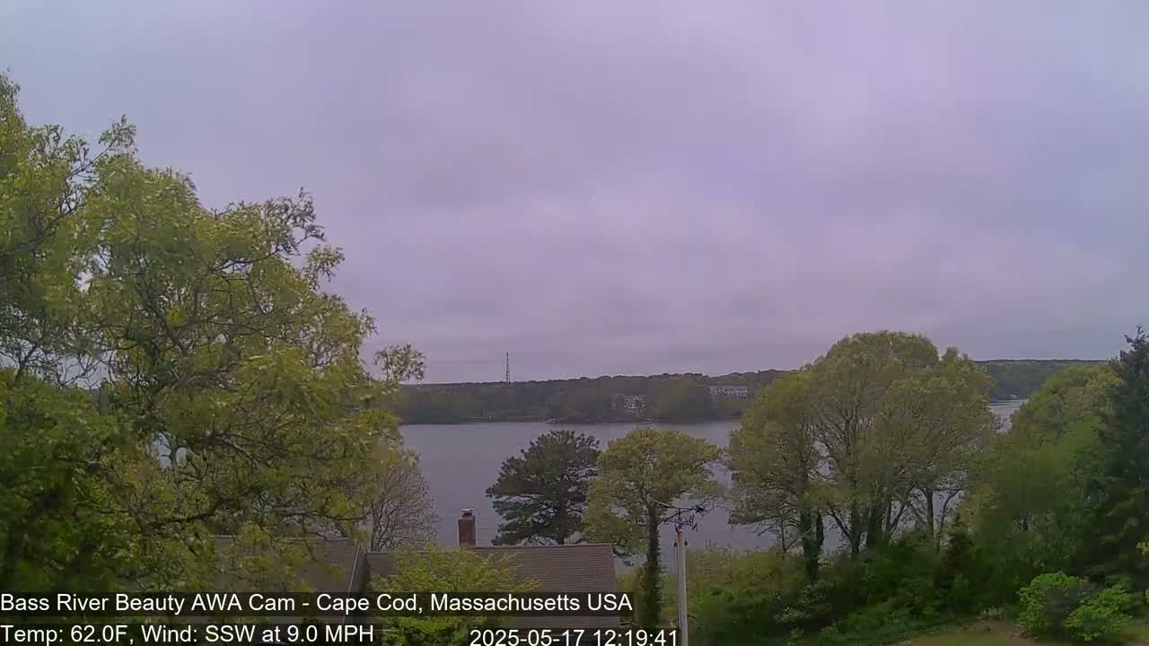 A calm body of water is seen from a slightly elevated vantage point, framed by lush green trees under an overcast sky.