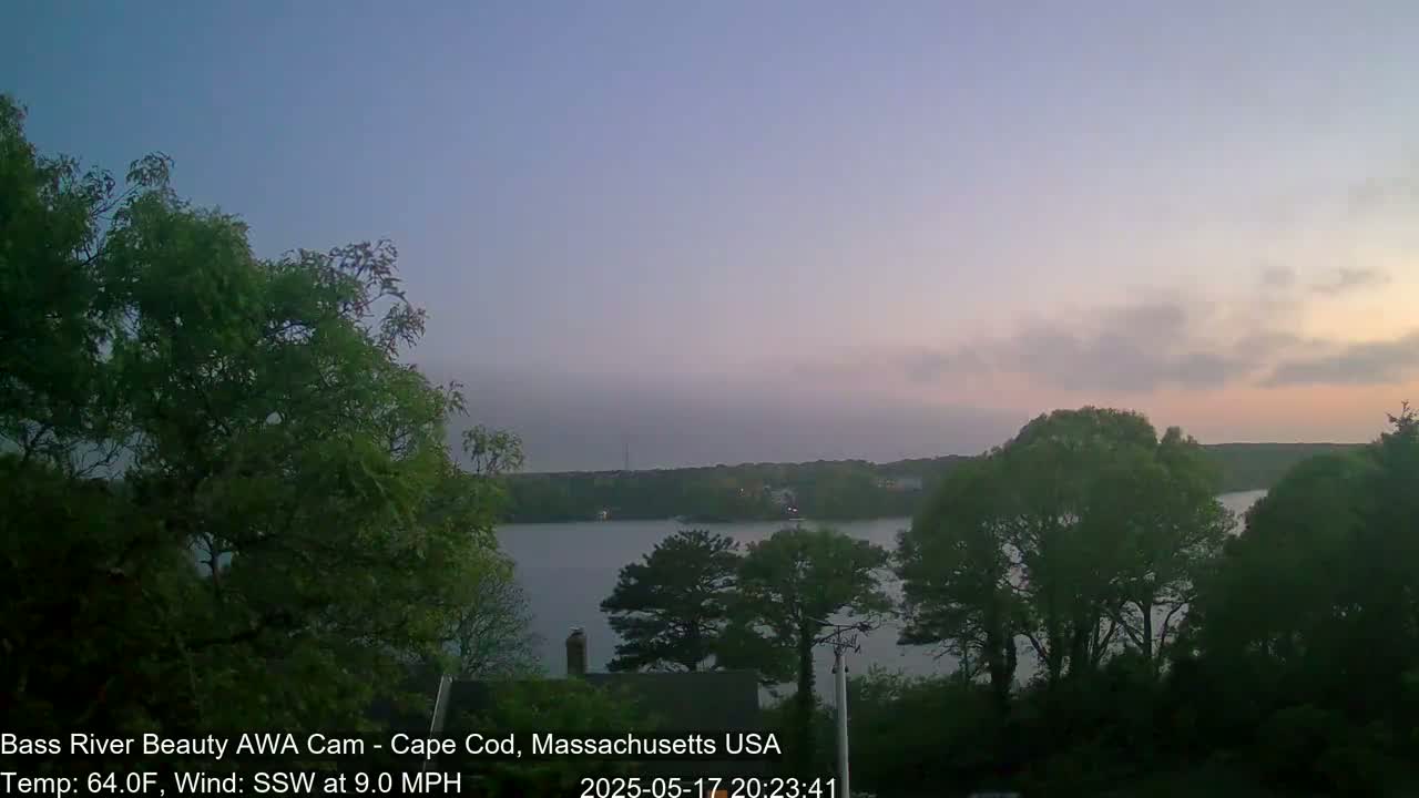 A calm body of water is seen at dusk, surrounded by lush green trees under a pale, cloudy sky.
