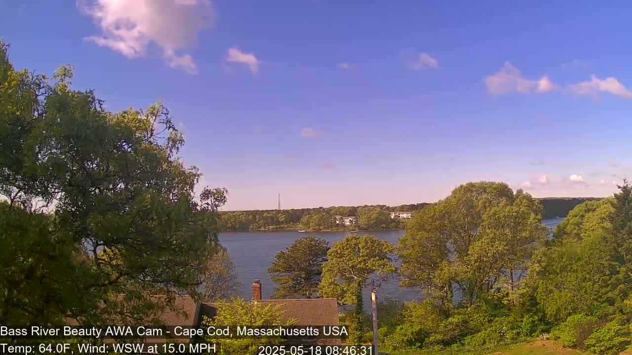 A partly cloudy, breezy day overlooks a calm river, surrounded by lush green trees and houses.