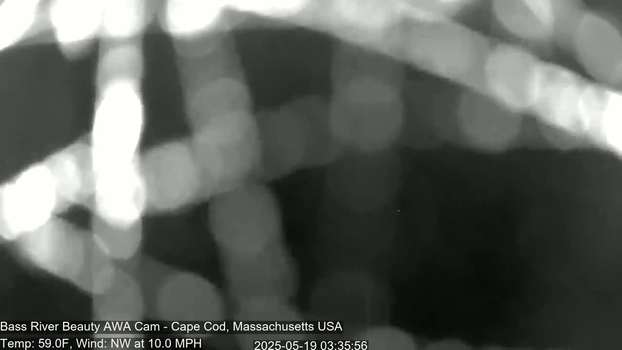 A blurry, grayscale image shows out-of-focus objects, possibly branches or foliage, in a 59°F environment with a northwest wind of 10 mph.