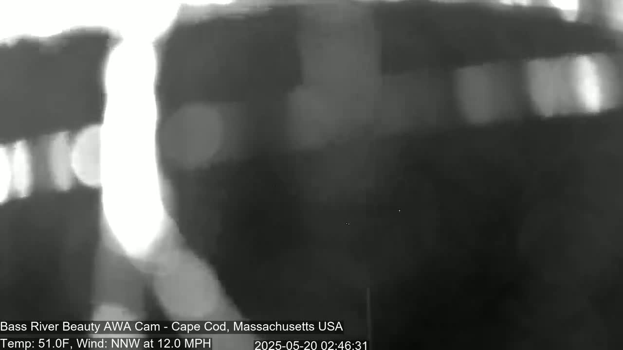 A blurry, grayscale image shows a dark, possibly nighttime scene with a bright, indistinct object in the center, under conditions of 51°F and a 12 mph north-northwest wind.