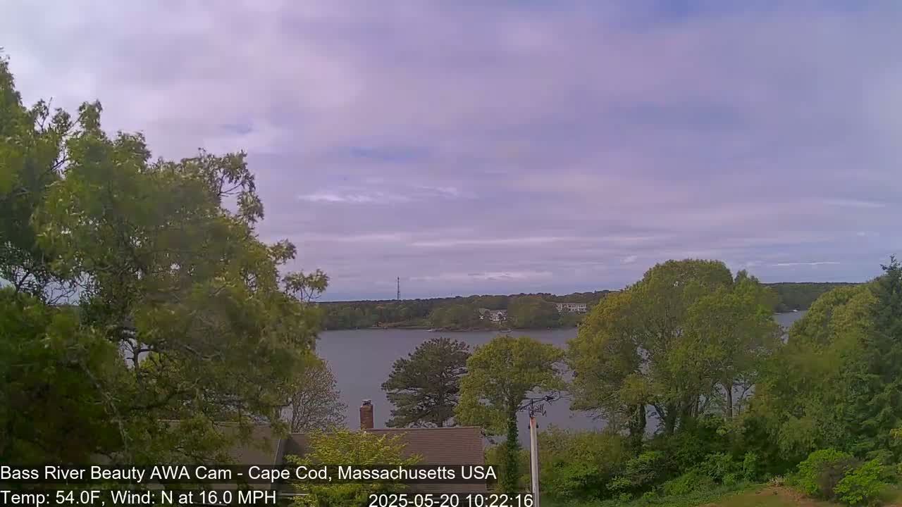 A calm body of water is visible through leafy green trees under a mostly cloudy sky.