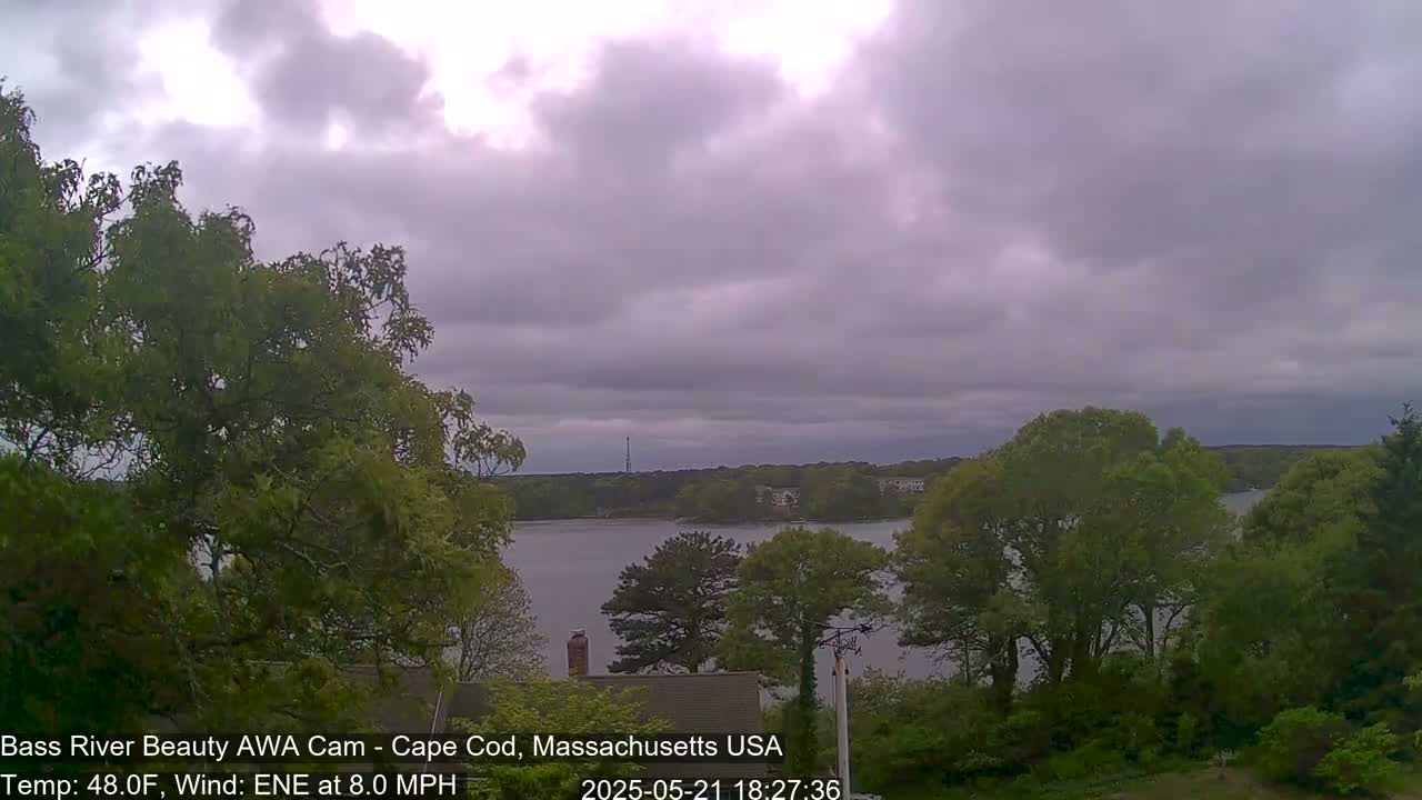 Overcast skies and an 8 mph easterly-northeasterly wind blow over a calm body of water surrounded by lush green trees.