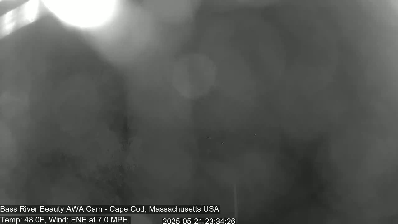 A blurry, dark grayscale image shows an overcast night scene with a 7.0 mph wind from the east-northeast.