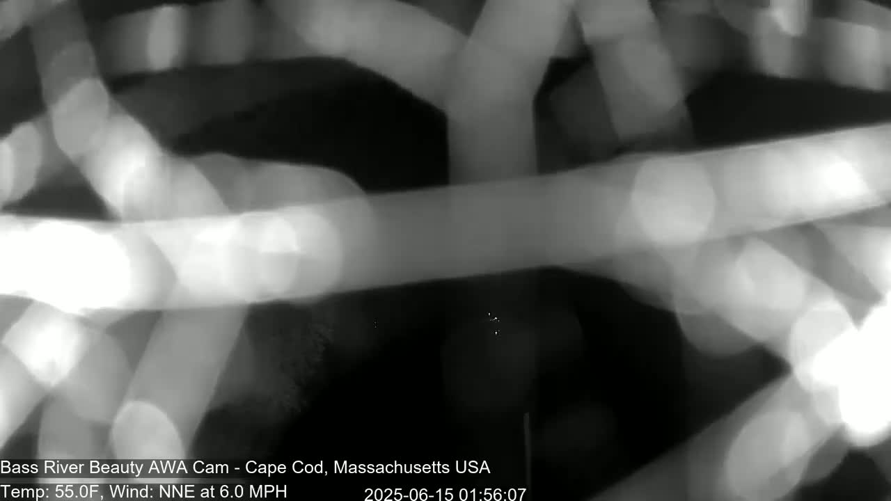Cape Cod - Bass River, Live Cam - Yarmouth, Massachusetts, USA