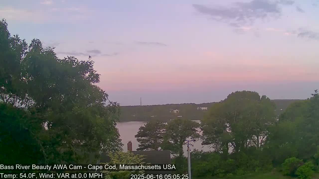 A calm body of water is seen at dawn, under a pale pink and purple sky, framed by green trees.