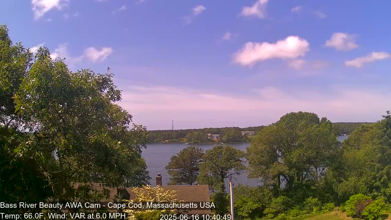 A calm body of water is seen from an elevated vantage point, partially obscured by lush green trees under a mostly sunny sky with scattered clouds.