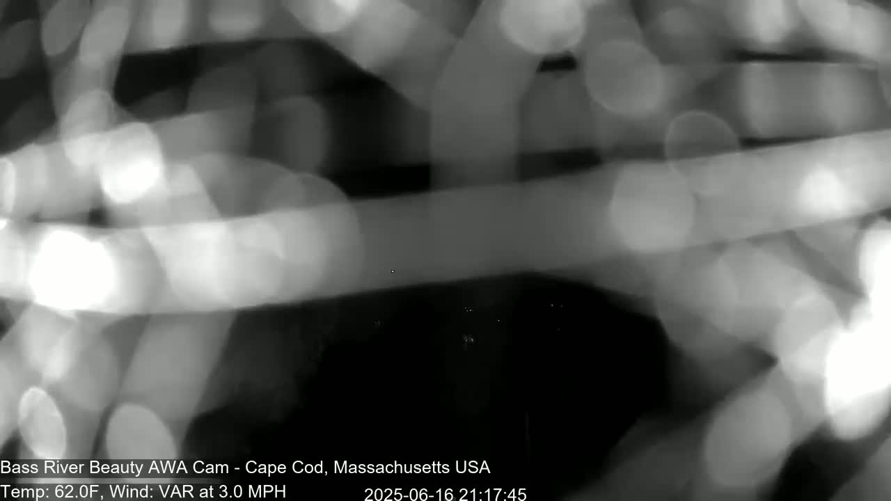 Cape Cod - Bass River, Live Cam - Yarmouth, Massachusetts, USA