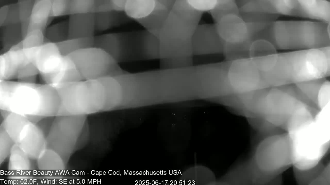 Cape Cod - Bass River, Live Cam - Yarmouth, Massachusetts, USA