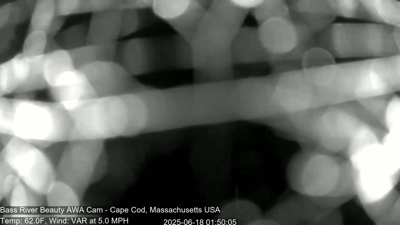 Cape Cod - Bass River, Live Cam - Yarmouth, Massachusetts, USA