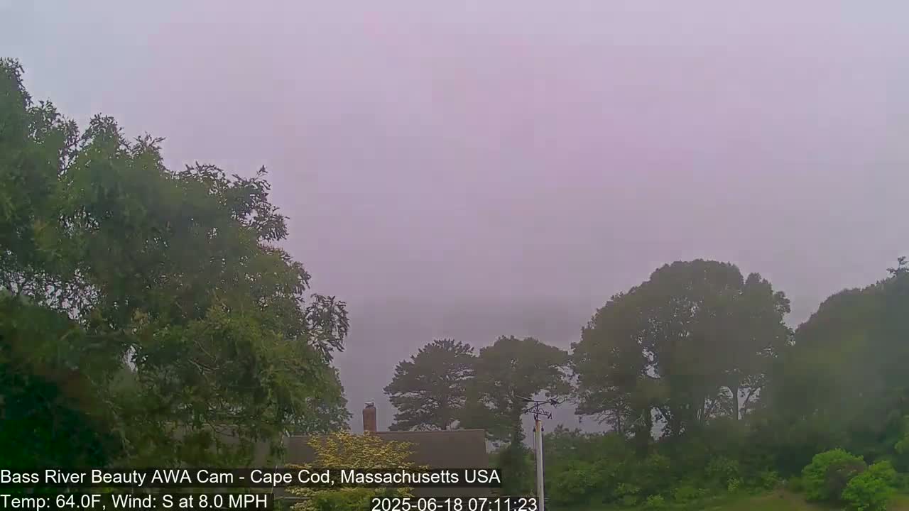 A foggy, overcast scene shows a line of trees and the roof of a house, with a light purple hue in the sky.