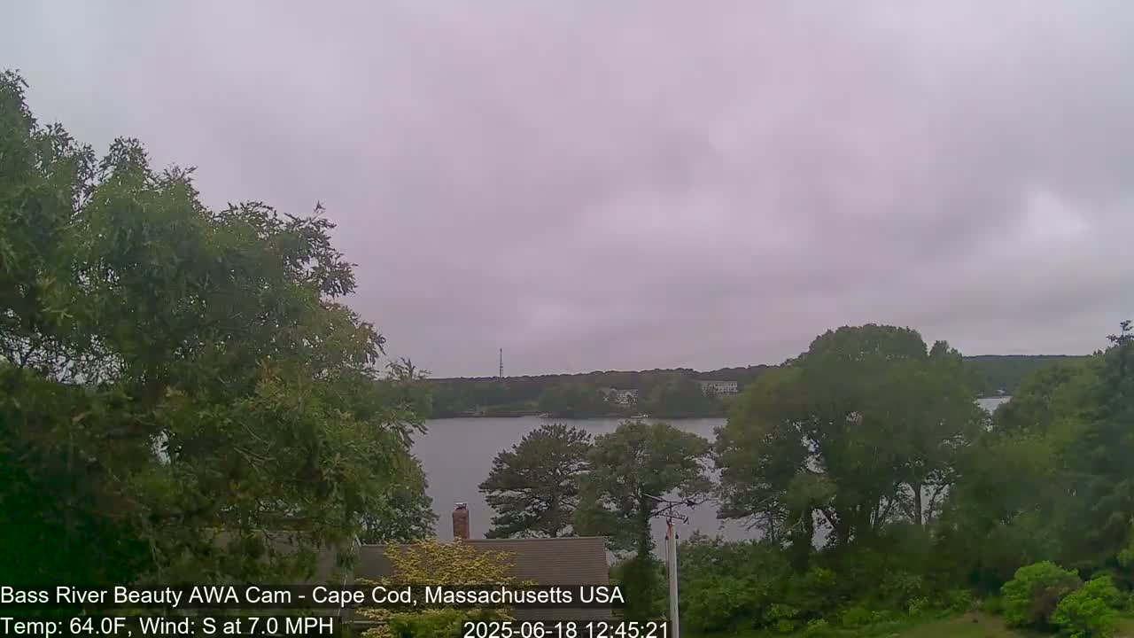 A calm body of water is seen from a wooded hillside under an overcast sky.