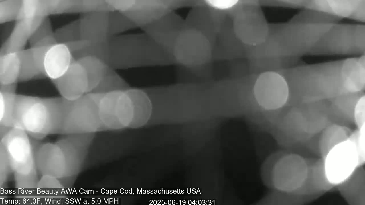 A blurry, out-of-focus grayscale image shows overlapping streaks of light, with a temperature of 64°F and a south-southwesterly wind at 5.0 mph.