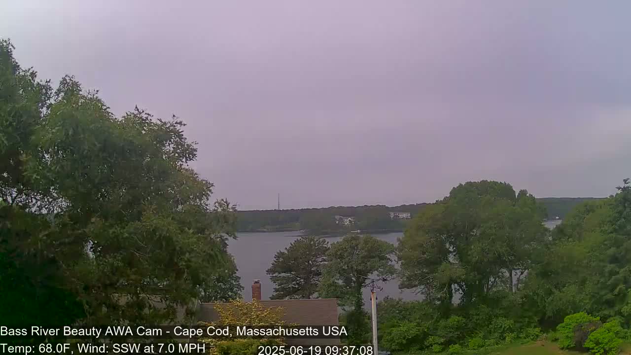 A calm body of water is seen through leafy green trees under an overcast sky.