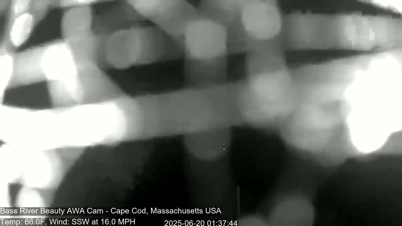 Cape Cod - Bass River, Live Cam - Yarmouth, Massachusetts, USA