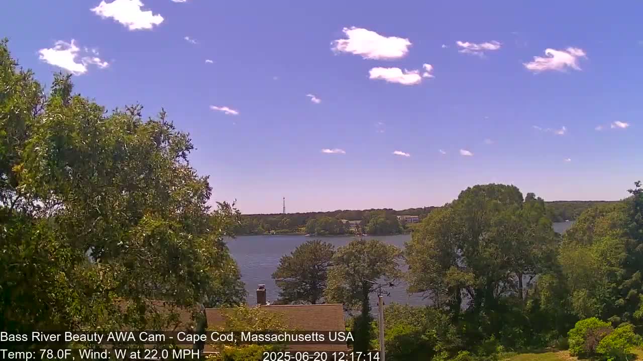 A calm body of water is visible beyond leafy green trees under a mostly sunny sky with scattered clouds, and a light breeze is present.