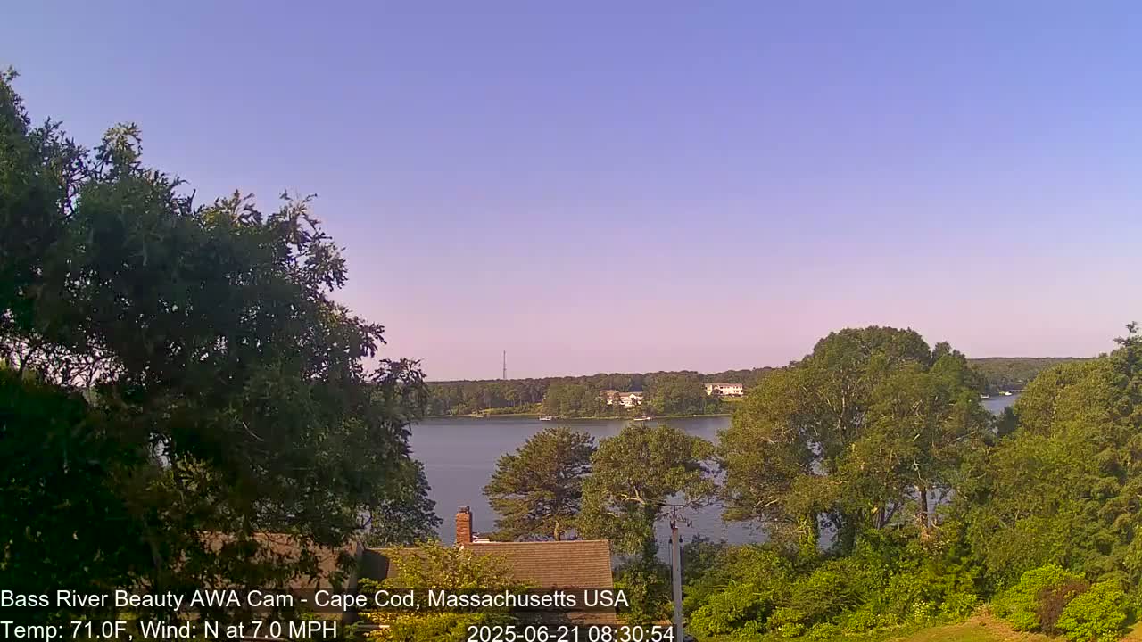 A calm body of water is seen from a high vantage point, framed by lush green trees under a clear, light-blue sky.