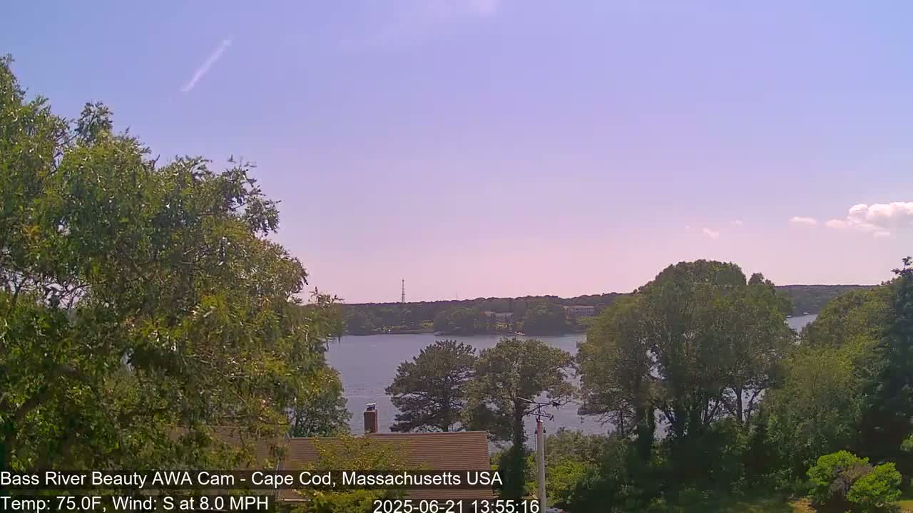 A partly sunny view from a tree-lined hillside overlooking a calm body of water with a distant shoreline.