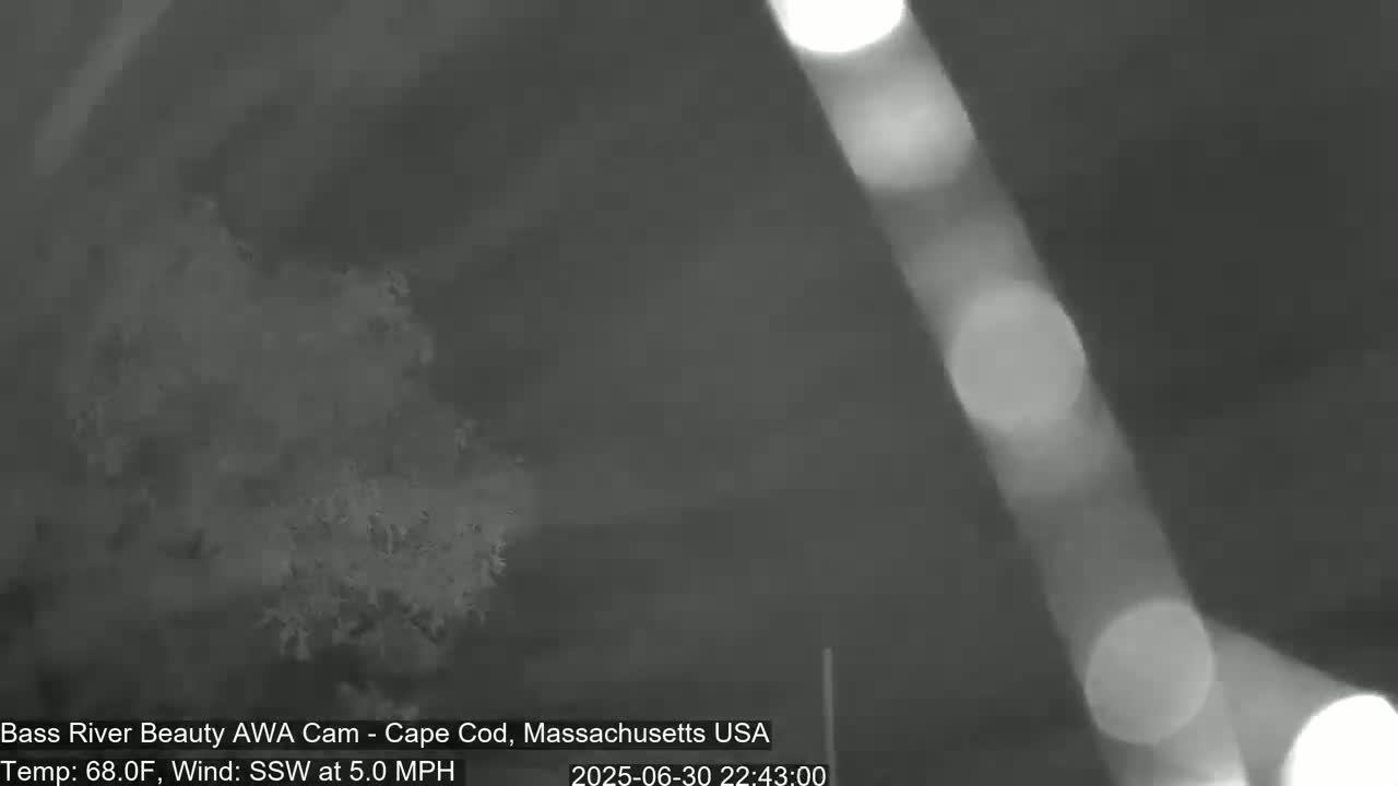 Cape Cod - Bass River, Live Cam - Yarmouth, Massachusetts, USA